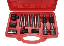 Ensemble d'extraction de poulie MECHANIC PULLEY SET 1, 13 pièces