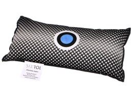 Coussin déshumidificateur pour voiture DRY CAR BIG BAG 1000g