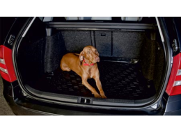 Bac de coffre en caoutchouc Mitsubishi Lancer VII (CS) (03-08)