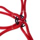 Sangles élastiques/élastiques araignée CARGO CORD SPIDER BASIC 80, 80 cm, 8 bras