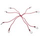 Sangles élastiques/élastiques araignée CARGO CORD SPIDER BASIC 120, 120 cm, 8 bras