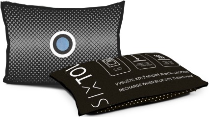 Coussin déshumidificateur pour voiture DRY CAR MINI 150g