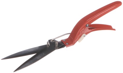 Cisaille à gazon de jardin, longueur 320 mm