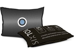 Coussin déshumidificateur pour voiture DRY CAR MINI 150g